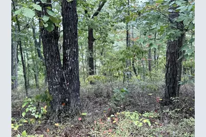 1417 Foxhound Trail NE, Ranger, GA 30734 - Photo 2