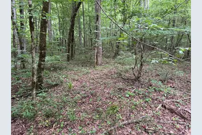 1634 Carman Way, Ranger, GA 30734 - Photo 4