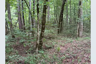 1634 Carman Way, Ranger, GA 30734 - Photo 6