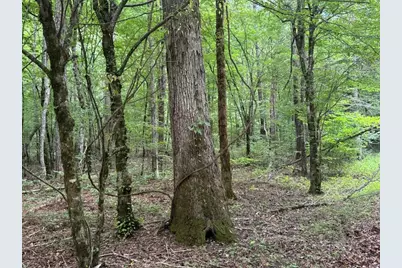 1634 Carman Way, Ranger, GA 30734 - Photo 12