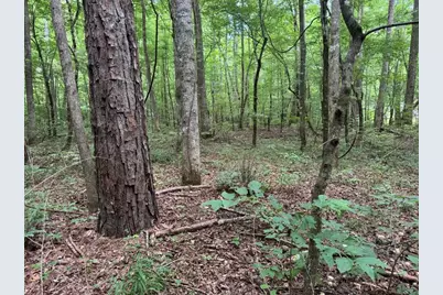 1634 Carman Way, Ranger, GA 30734 - Photo 10