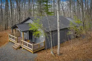 403 Sugar Mountain Rd, Blue Ridge, GA 30513 - Photo 52