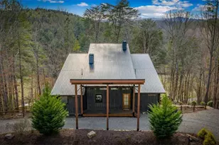 95 Woodhaven Rd, Blue Ridge, GA 30513 - Photo 80