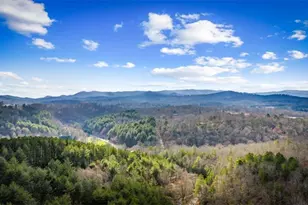 95 Woodhaven Rd, Blue Ridge, GA 30513 - Photo 8