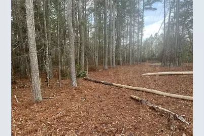 8615 Smith James Road, Snellville, GA 30039 - Photo 24