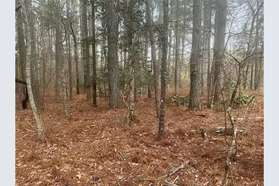 8615 Smith James Road, Snellville, GA 30039 - Photo 22