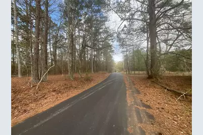 8615 Smith James Road, Snellville, GA 30039 - Photo 14