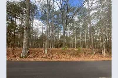 8615 Smith James Road, Snellville, GA 30039 - Photo 12