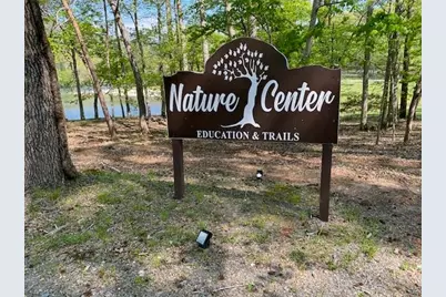 334 Lake View Trace, Jasper, GA 30143 - Photo 56