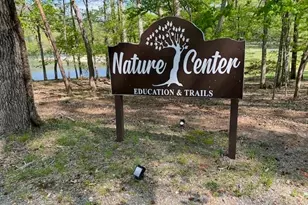 334 Lake View Trace, Jasper, GA 30143 - Photo 56