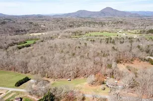 1268 River Bend Rd, Demorest, GA 30535 - Photo 36