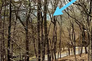 88 Bee Tree Ridge Ct, Jasper, GA 30143 - Photo 56