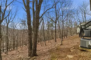 88 Bee Tree Ridge Ct, Jasper, GA 30143 - Photo 58