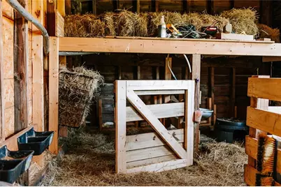 9048 Highway 334, Nicholson, GA 30565 - Photo 46