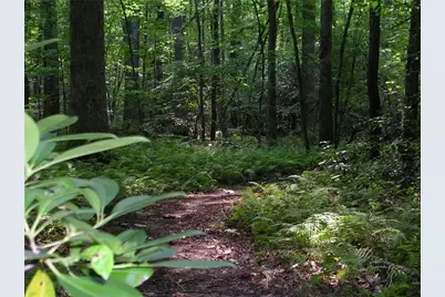 308 Pinebrook Drive, Waleska, GA 30183 - Photo 42