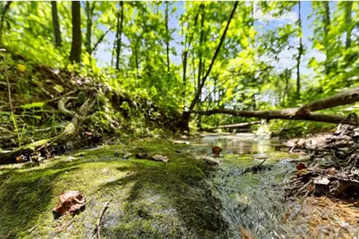 120 Brookhaven Trail, Blue Ridge, GA 30513 - Photo 90