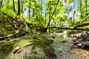 120 Brookhaven Trl, Blue Ridge, GA 30513 - Photo 90