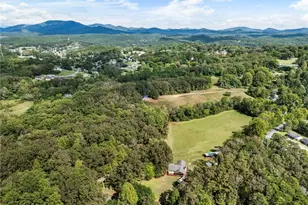 120 Brookhaven Trl, Blue Ridge, GA 30513 - Photo 86