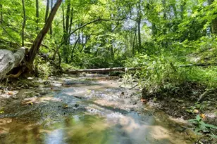 120 Brookhaven Trl, Blue Ridge, GA 30513 - Photo 88