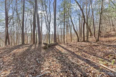 Lot 6 Sweet Apple Lane, Dahlonega, GA 30533 - Photo 2