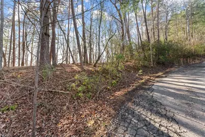 Lot 6 Sweet Apple Lane, Dahlonega, GA 30533 - Photo 6