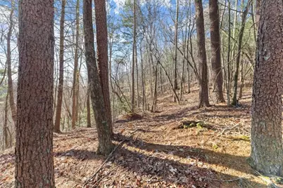 Lot 6 Sweet Apple Lane, Dahlonega, GA 30533 - Photo 4