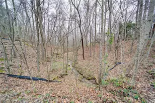 24 New Christopher Ct, Dawsonville, GA 30534 - Photo 56