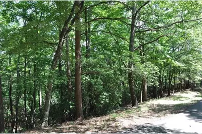 64 Wrens Nest, Big Canoe, GA 30143 - Photo 10