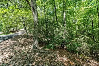 64 Wrens Nest, Big Canoe, GA 30143 - Photo 14