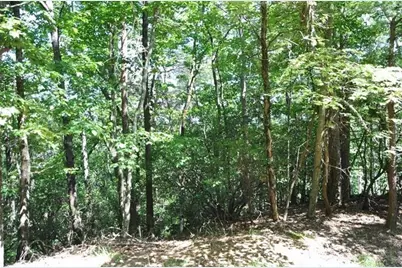 64 Wrens Nest, Big Canoe, GA 30143 - Photo 12