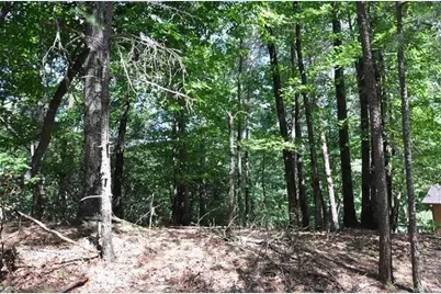 64 Wrens Nest, Big Canoe, GA 30143 - Photo 8