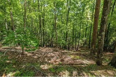 64 Wrens Nest, Big Canoe, GA 30143 - Photo 16