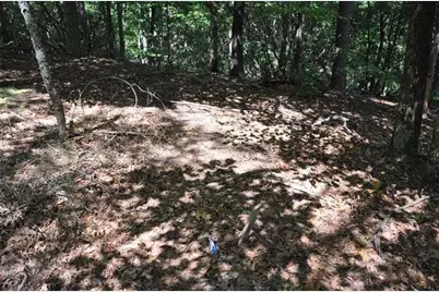 64 Wrens Nest, Big Canoe, GA 30143 - Photo 6