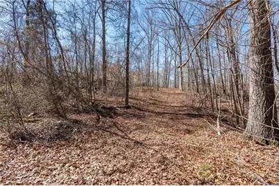 235 Cecil Jackson Road, Griffin, GA 30223 - Photo 34