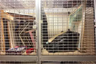 2479 Peachtree Rd NE, Atlanta, GA 30305 - Photo 36