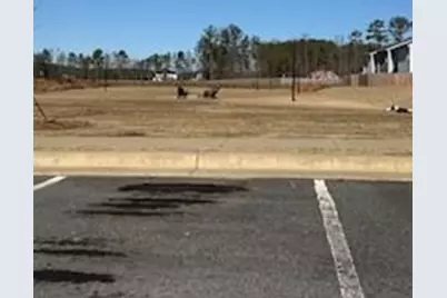 100 Village Green Drive, Adairsville, GA 30103 - Photo 18