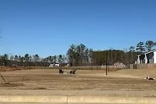 100 Village Green Dr, Adairsville, GA 30103 - Photo 18