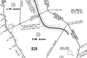 824 Banks Rd, Ellijay, GA 30540 - Photo 2