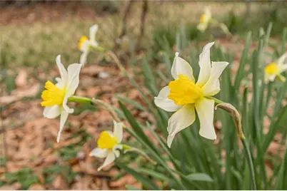 [Address not provided], East Point, GA 30344 - Photo 2