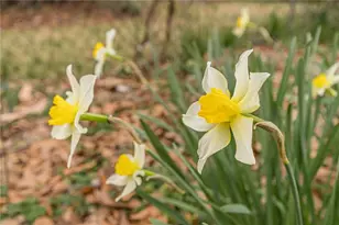 [Address not provided], East Point, GA 30344 - Photo 2