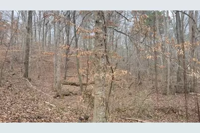 00Lot4 N Helton Road, Winston, GA 30187 - Photo 2