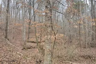 00Lot4 N Helton Rd, Winston, GA 30187 - Photo 2