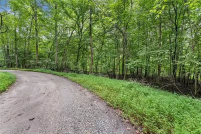 0 Lewis Grindle Parcel 1 Road, Dahlonega, GA 30533 - Photo 4