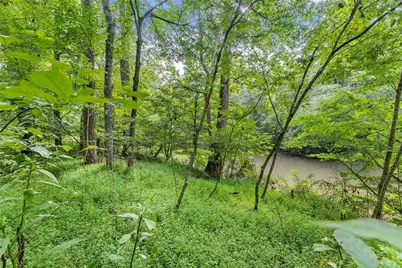 0 Lewis Grindle Parcel 1 Road, Dahlonega, GA 30533 - Photo 12