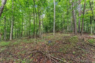 0 Lewis Grindle Parcel 1 Road, Dahlonega, GA 30533 - Photo 18