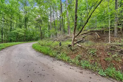 0 Lewis Grindle Parcel 1 Road, Dahlonega, GA 30533 - Photo 14