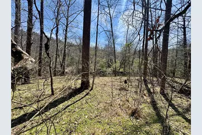 0 Lewis Grindle Parcel 1 Road, Dahlonega, GA 30533 - Photo 28