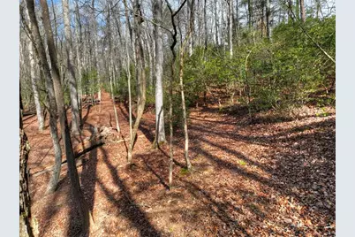 29 Robert Drive, Ellijay, GA 30536 - Photo 52