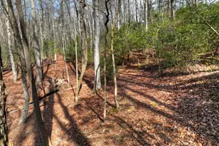 29 Robert Dr, Ellijay, GA 30536 - Photo 52