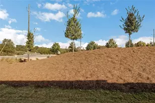 10 American Ave, Newnan, GA 30263 - Photo 28